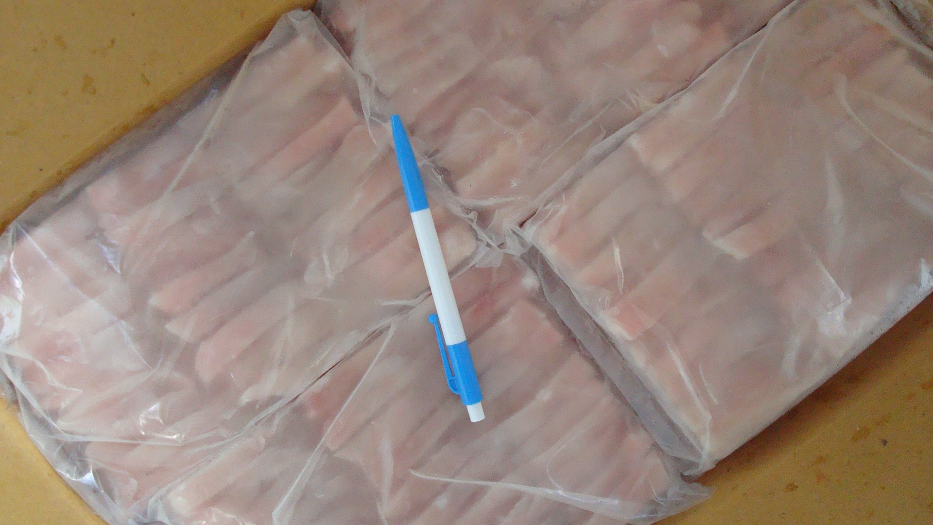 Sting Ray Slice